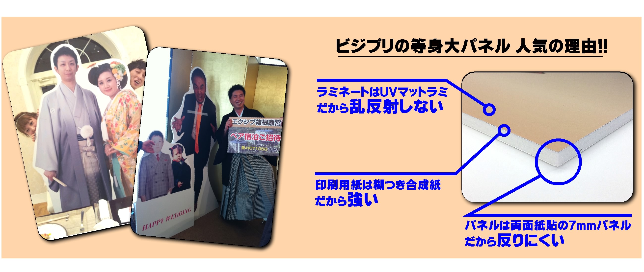 ���g��p�l�����삪�l�C�̗��R